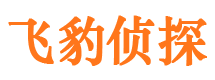 宁都外遇出轨调查取证